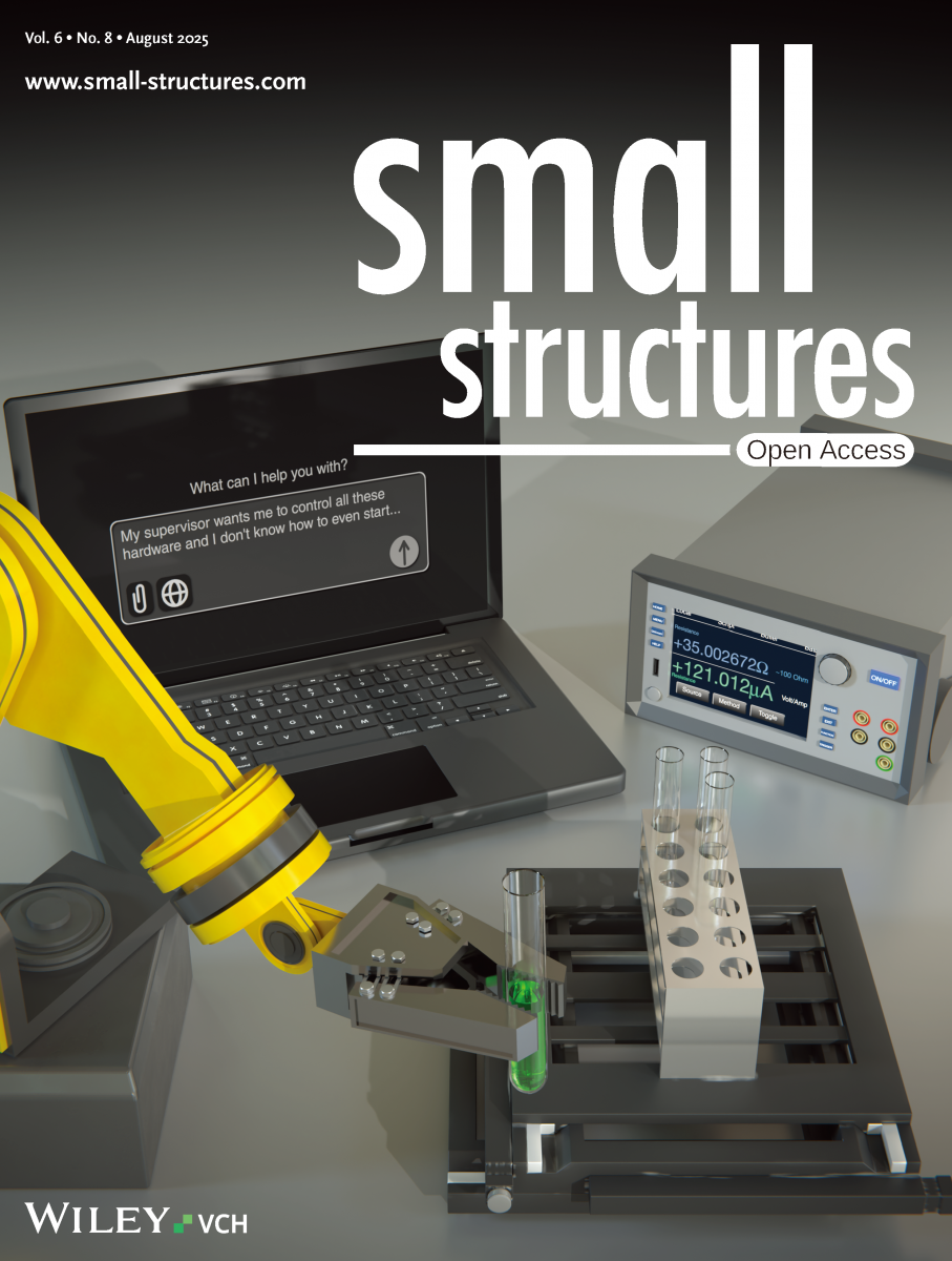 Small Structures back cover